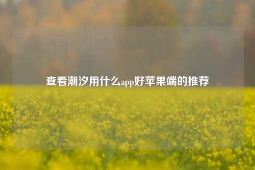 查看潮汐用什么app好苹果端的推荐