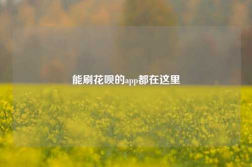 能刷花呗的app都在这里