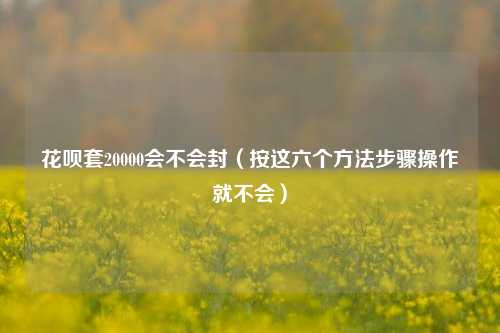 花呗套20000会不会封（按这六个方法步骤操作就不会）