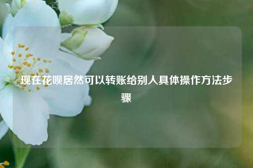 如今花呗居然可以转账给别人具体操作方法步骤