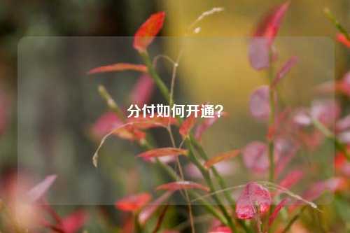 分付如何开通？