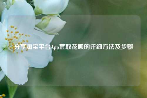 分享淘宝平台App套取花呗的详细方法及步骤