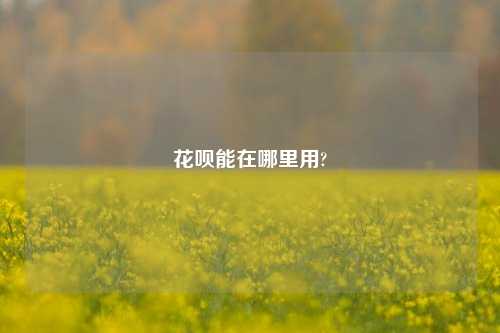 花呗能在哪里用?