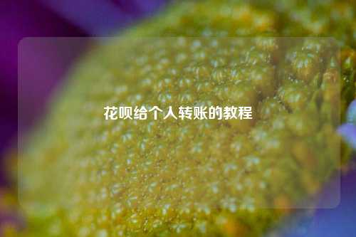 花呗给个人转账的教程