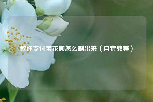 教你支-付-B花呗怎么刷出来（自套教程）