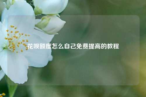 花呗额度怎么自己免费提高的教程