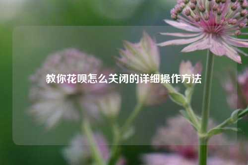 教你花呗怎么关闭的详细操作方法